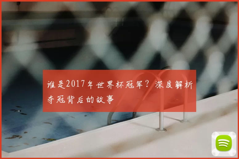 谁是2017年世界杯冠军？深度解析夺冠背后的故事