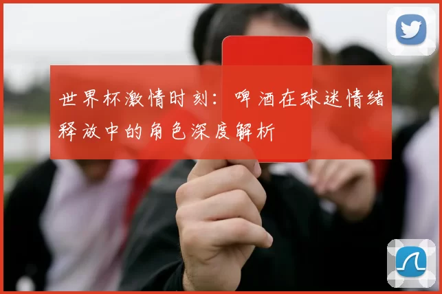 世界杯激情时刻:啤酒在球迷情绪释放中的角色深度解析