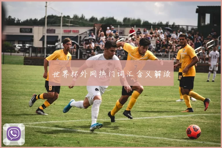 世界杯外网热门词汇含义解读