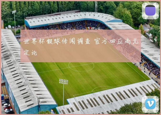 世界杯假球传闻调查 官方回应尚无定论