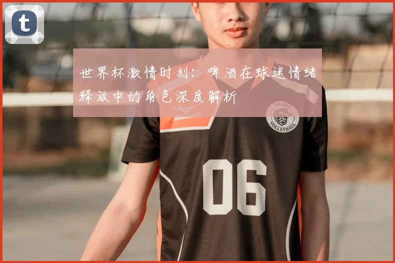 世界杯激情时刻:啤酒在球迷情绪释放中的角色深度解析