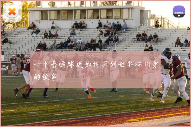 一个普通球迷如何买到世界杯门票的故事