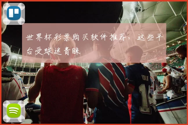 世界杯彩票购买软件推荐,这些平台受球迷青睐