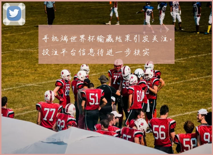 手机端世界杯输赢结果引发关注,投注平台信息待进一步核实