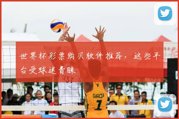 世界杯彩票购买软件推荐,这些平台受球迷青睐