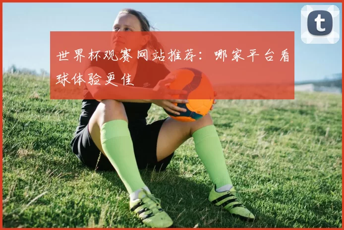 世界杯观赛网站推荐:哪家平台看球体验更佳